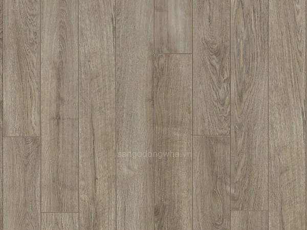 Sàn gỗ Sanus Modish vân gỗ 12mm - SM004