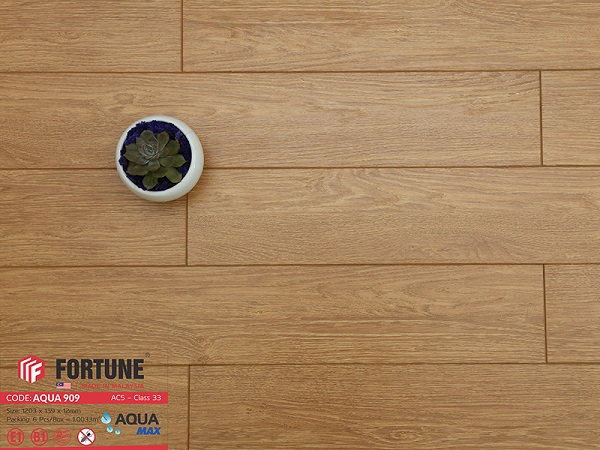 Sàn gỗ Fortune Aqua 909 - 12ly